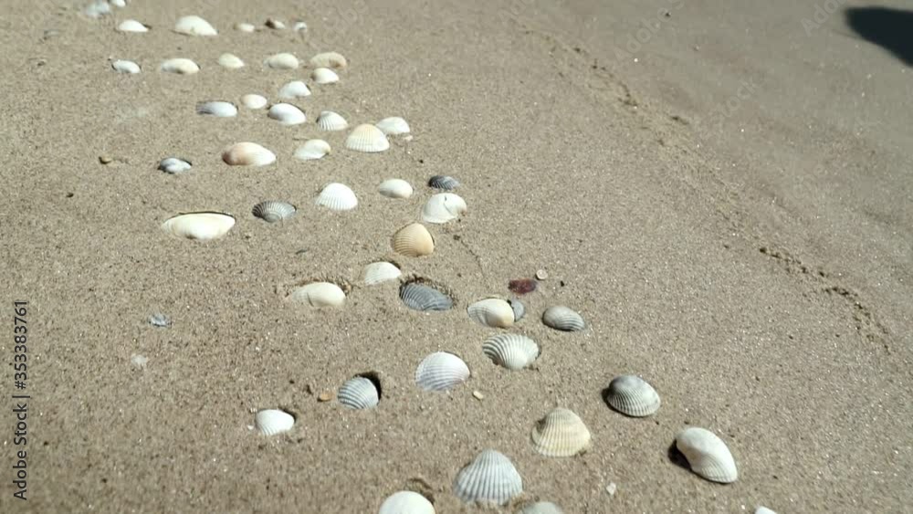 Summer written in the sand Inscription the summer written on a sandy beach with a shells. Summer written in the sand Inscription the summer written on a sandy beach with a shells.