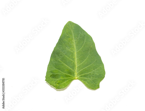 Bon leaves isolated on a white background.