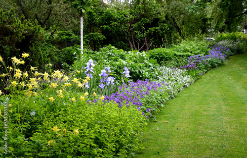 The flowering flower bed in the city park blooms here in many different colors of the interface between the lawn and the perennial flower bed in the historic city park. photo