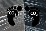 Carbon footprint, sustainable development, 