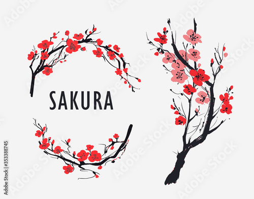 Sakura branch with flowers. Vector illustration