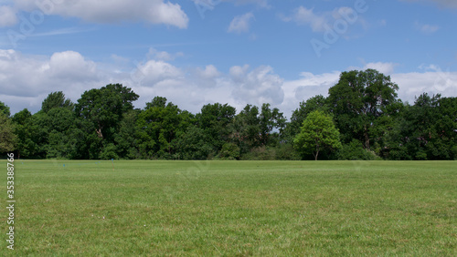 Summer scene showing English parkland with trees in background and blue sky
