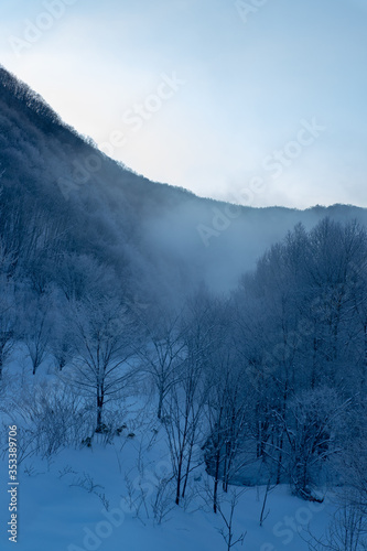 北海道冬の風景 富良野市の樹氷