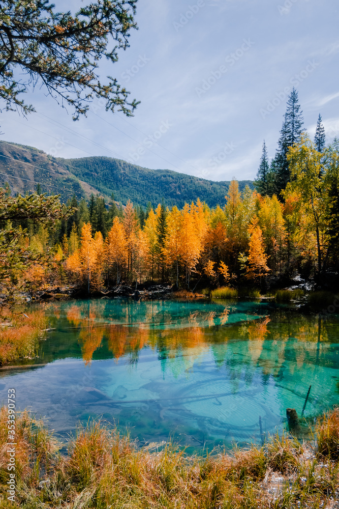 Blue geyser lake during golden autumn season in Altai, Siberia, Russia.