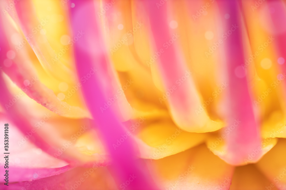 Abstract background created by soft close-up macro photography of natural flowers in orange, pink and yellow colors, close-up images of soft-focus lotus stamens.
