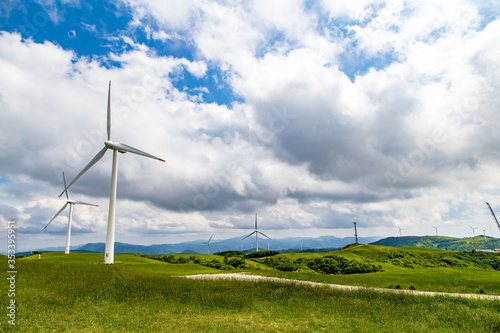 대관령 양떼목장