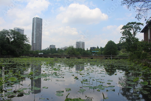 City and lake in Japan