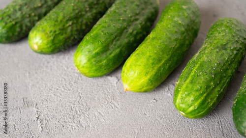 Cucumber line. Fresh green ripe cucumbers on gray concrete background. Gherkins on the table close-up.
