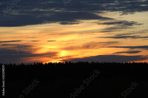 Fantastic panorama of the burning sky at dawn over the silhouette of the forest tops.Orange space with black streaks of clouds.Contrast of the bright flaming horizon with the darkness of night