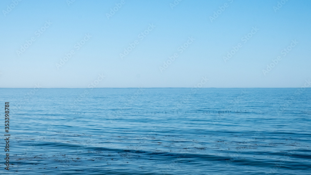Birds and seagulls flying above the ocean, Birds and seagulls flying above the ocean,