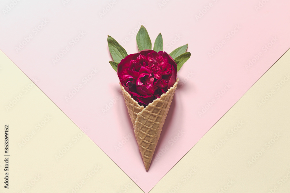 peony and leaves in icecream cone on pink background. Flat lay. peony and leaves in icecream cone on pink background. Flat lay.