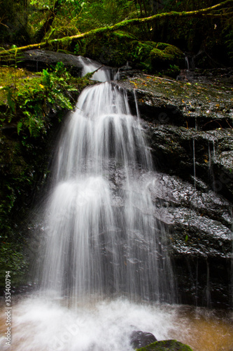 waterfall in the forest © Denis