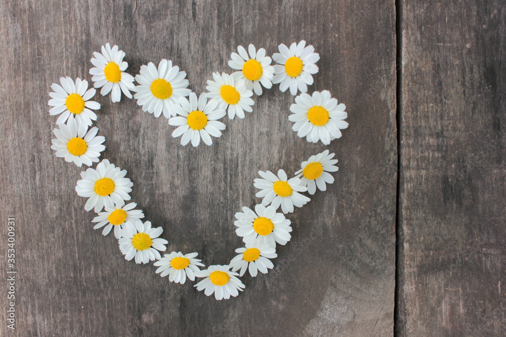 Obraz premium Heart made of white daisies on rustic wooden background. Top view of heart shape chamomile flowers 