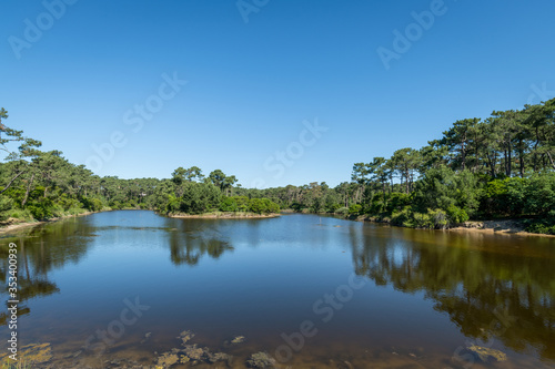 CAP FERRET (Gironde, France), la réserve naturelle des Réservoirs de Piraillan