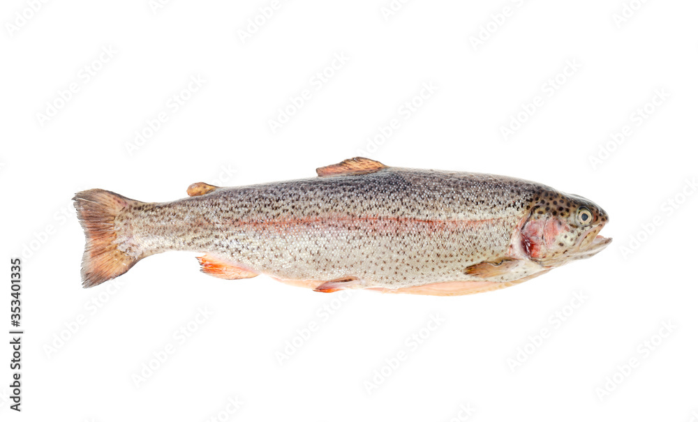 Fresh gutted chopped rainbow trout on white background.