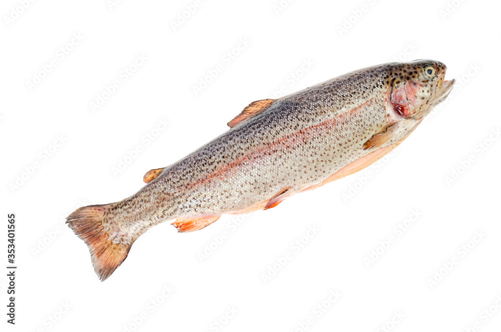 Fresh gutted chopped rainbow trout on white background.