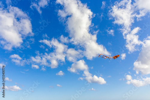 A kite in the sky with a cloudy day