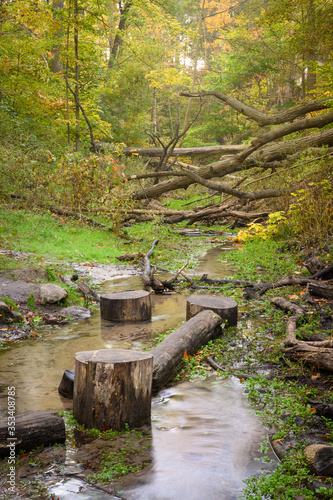 Canvas Print Ames Creek and fallen trees in Glen Stewart Ravine, located in the Beaches neighbourhood of Toronto, Canada