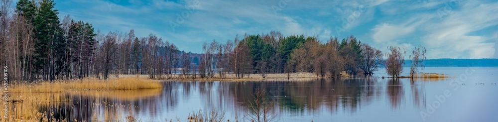 Panoramic view on forest near lake