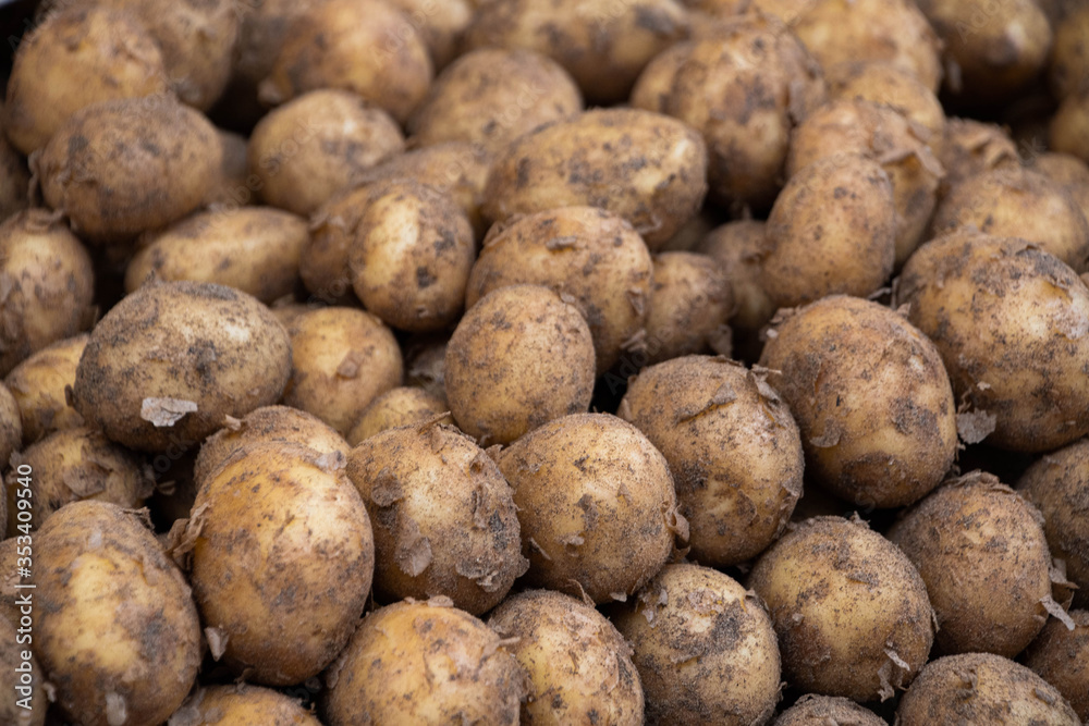 Potatoes in a market