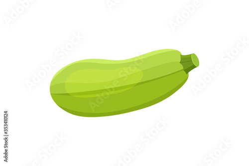 Fresh zucchini isolated on background. Squash whole. Fresh vegetable marrow isolated.