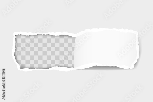 torn paper edge for design with transparent space template vector illustration