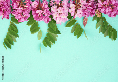 flowering branch Robinia neomexicana with pink flowers, green leaf photo
