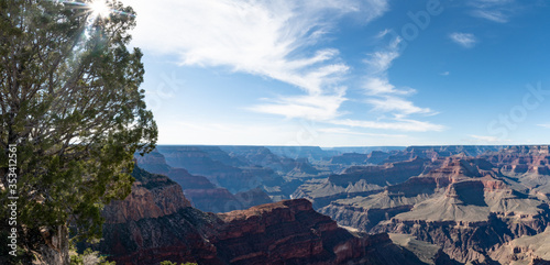 Lanscape with sun flaring through juniper tree and the Grand canyon extending into the distance