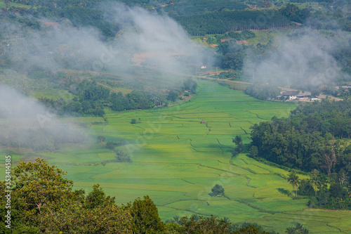 Phu Pha Nong, Landscape sea of mist in border of Thailand and Laos, Loei province Thailand.