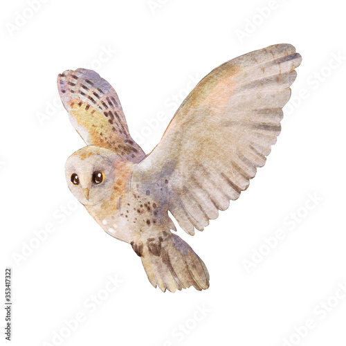 Watercolor isolated character flying owl. Barn owl.