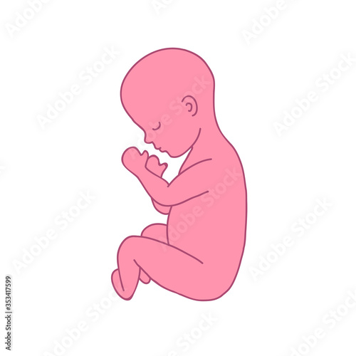 fetus 9 month doodle icon