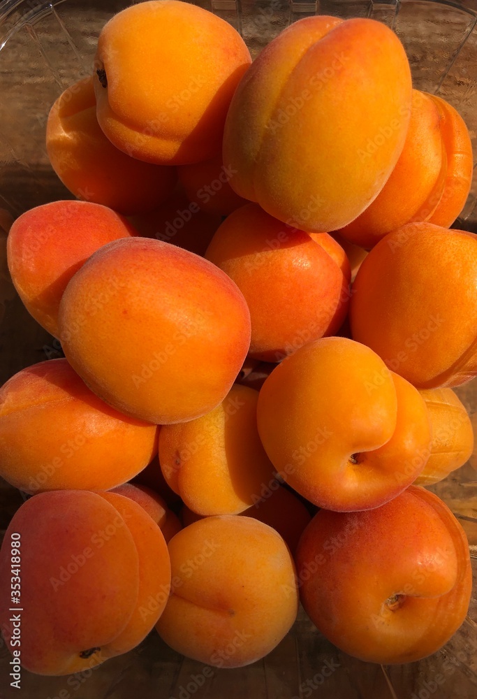 Delicious fresh apricots on the table macro Delicious fresh apricots on the table macro