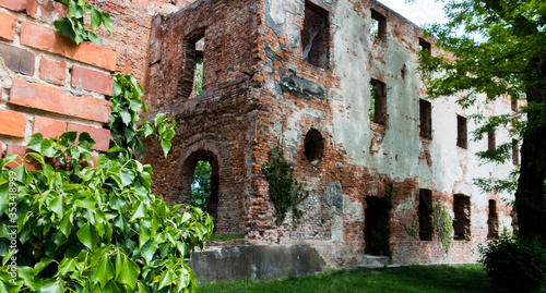 Bluszcz na ceglanym murze z ruinami zamku w tle