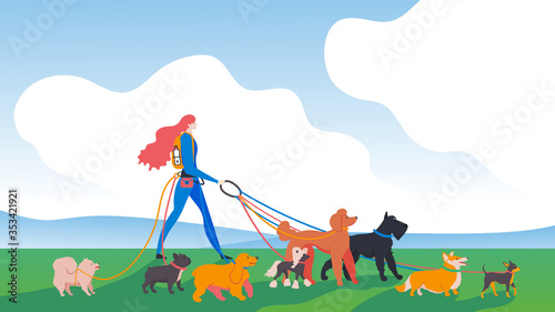 Dogs and dog-walker in the city. Breeds: spitz, french bulldog, english cocker spaniel, chinese crested, royal poodle, mittelschnauzer, corgi, russian toy terrier.