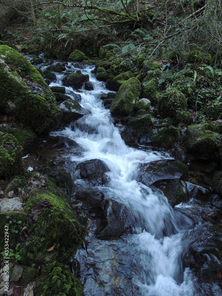 Fototapeta premium Xanas Route in Asturias. Spain