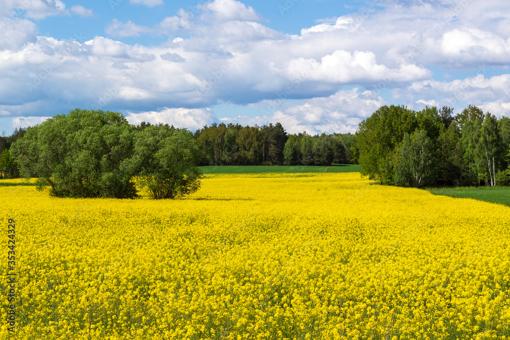 Krajobraz wiejski Podlasia, Polska Krajobraz wiejski Podlasia, Polska
