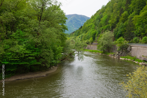 River in the mountain in the spring