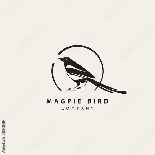 Fototapeta Simple modern magpie bird logo in circle frame with inscription