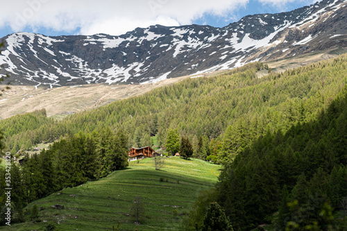 Alpine chalet and green meadow.