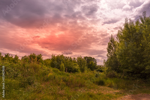 Colorful pink sunset over rural woodland
