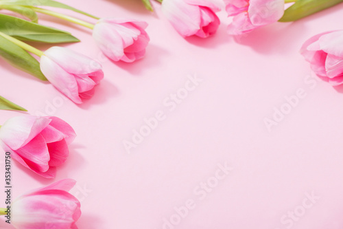 beautiful pink tulips on pink background © Siarhei