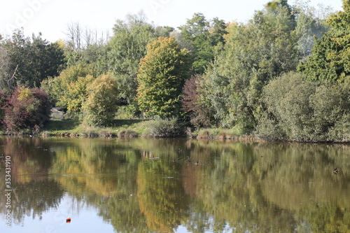By the lake