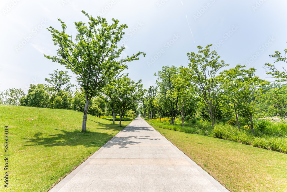 Empty road and green park