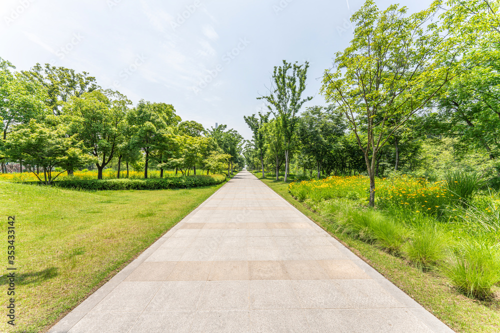 Empty road and green park