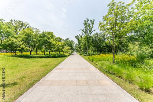 Obraz na płótnie Empty road and green park w salonie