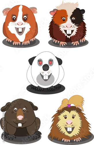
Vector illustration of funny cartoon guinea pigs of different breeds.