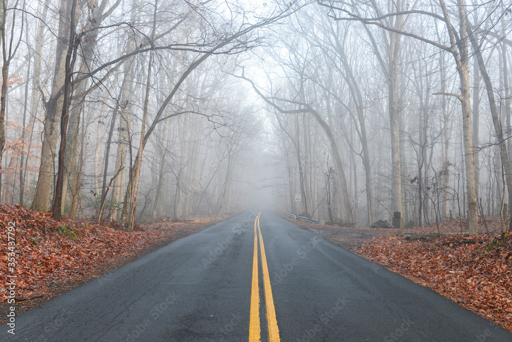 Asphalt road into the foggy forest with yellow road lines