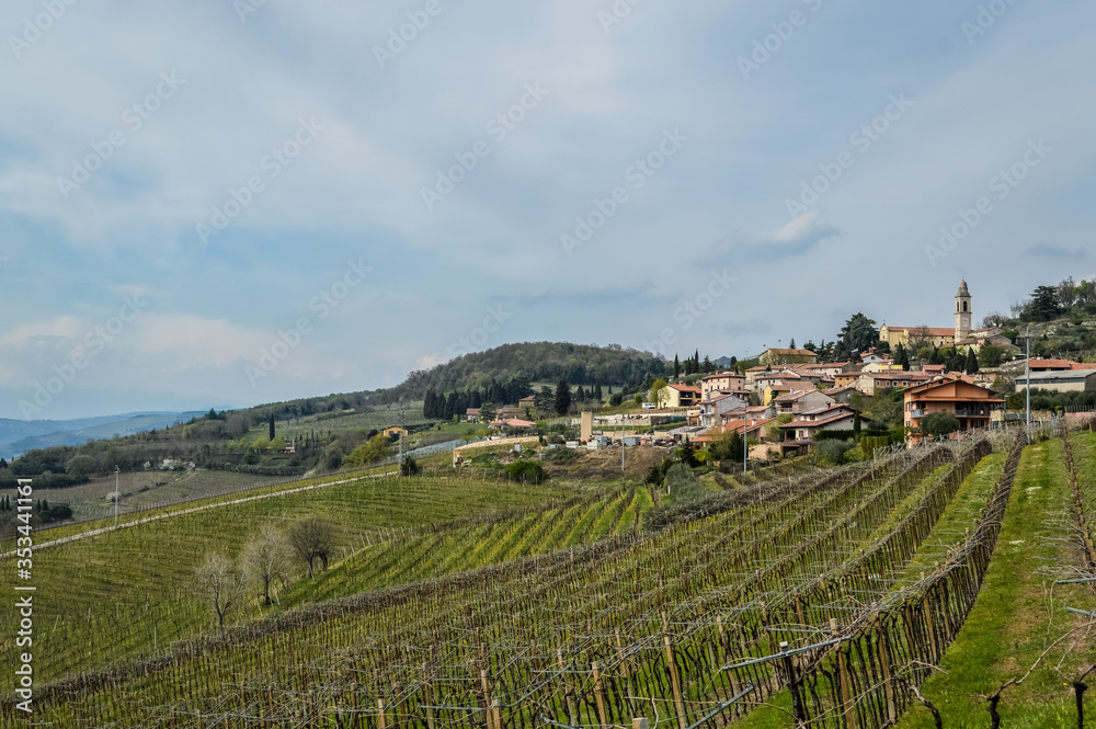 Vineyards on the hills of the Soave area near Verona in northern Italy, Soave is also a famous white italian wine.