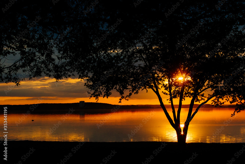 Beautiful sunset on the lake with a silhouette of a tree in the foreground
