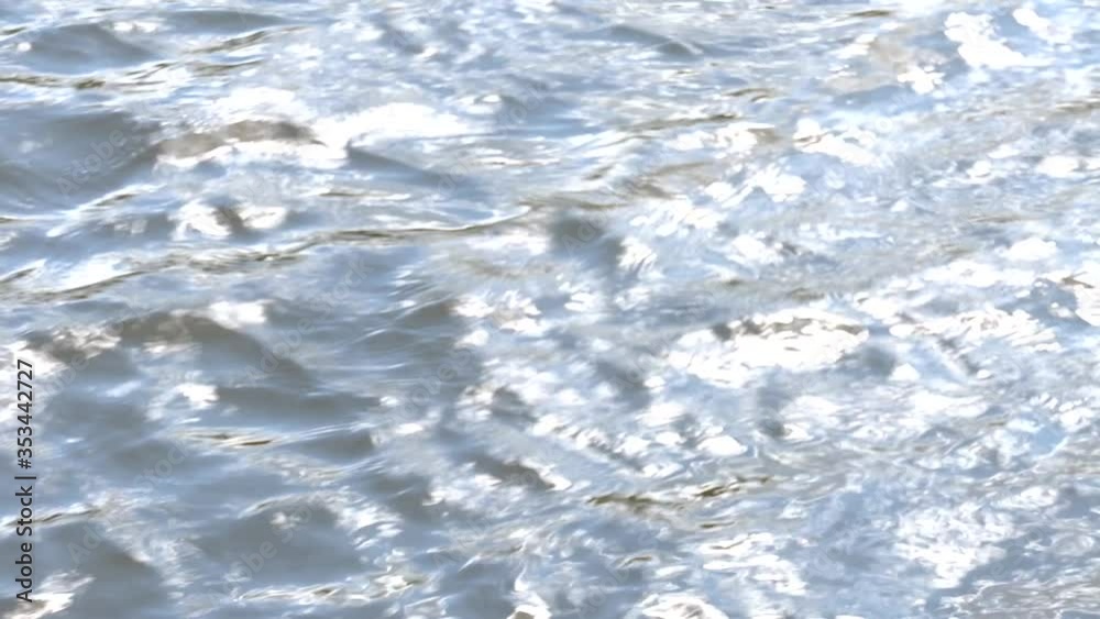 The surface of the river on a sunny day.
The surface of the river on a sunny day.
